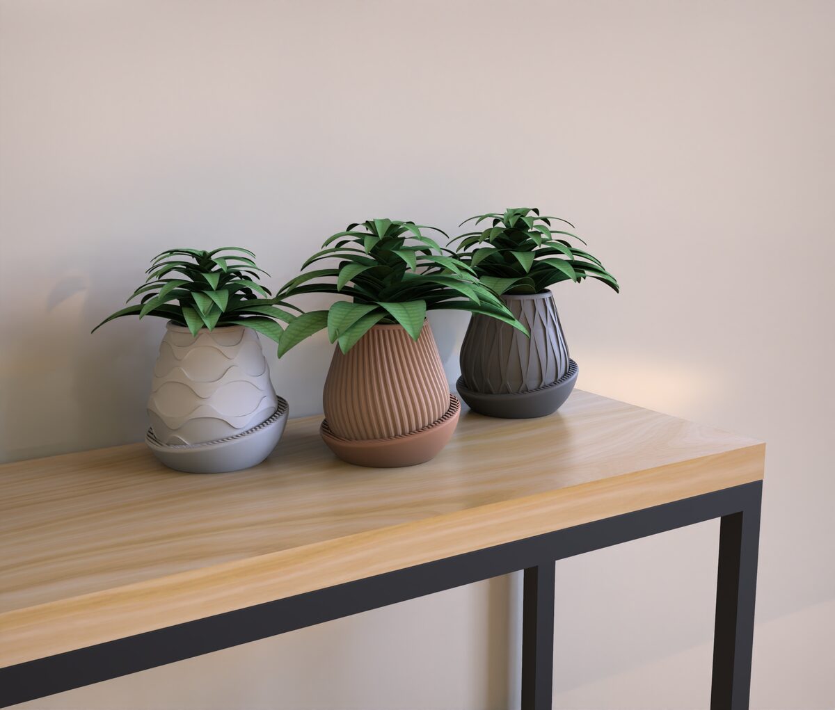 Planters.10 (2)